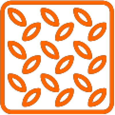 Hóa đơn điện tử